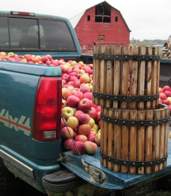 Apple Cider Day