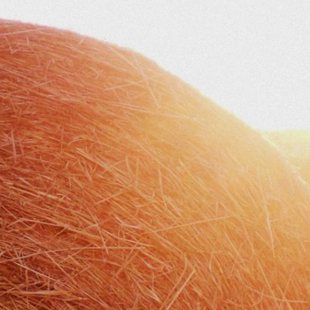 hay_bale_sun